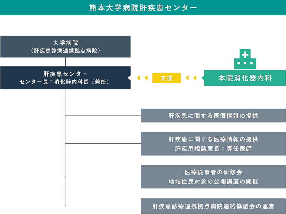 熊本大学病院　肝疾患センター業務図